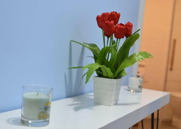 Apto. Sanxenxo-playa Daire Sanxenxo